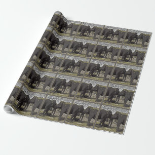 Papier Cadeau Yeux éléphants