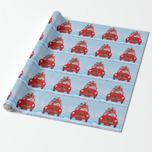 Papier Cadeau Yorkshire Terrier Chien En Voiture Avec Le Père No
