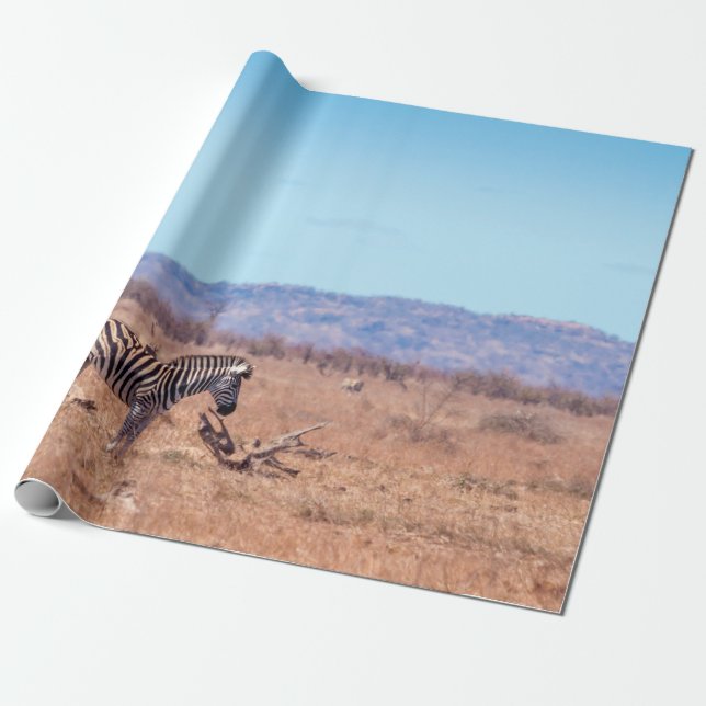 Papier Cadeau Zèbre des plaines dans le parc national de Kruger, (Déroulé)