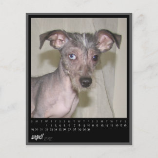 Papier calendrier août 2012