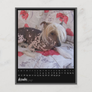 Papier calendrier décembre 2012