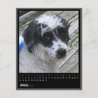 Papier calendrier janvier 2012