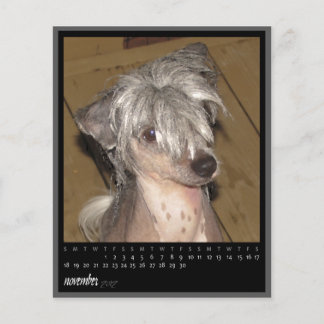 Papier calendrier novembre 2012