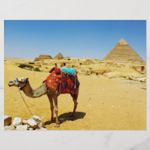 Papier Camel