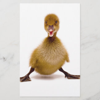 Papier Canard bouffant