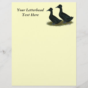 Papier Canards : Black Crested