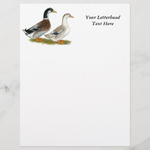 Papier Canards : Joyeuse Argent