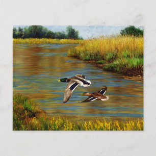 Papier Canards-Majards Survolant L'Étang
