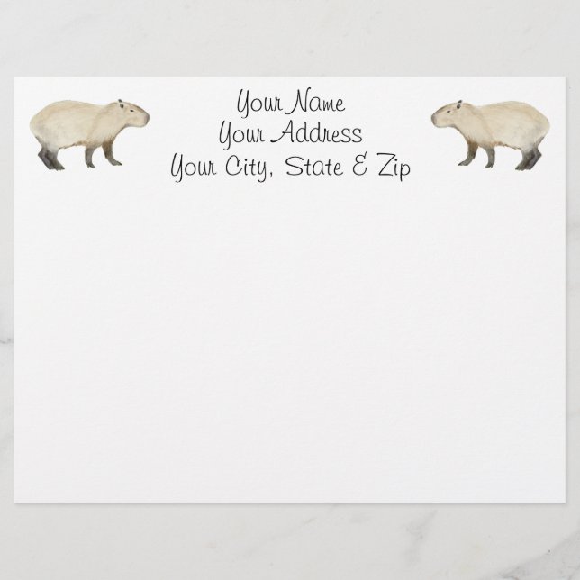 Papier Capybara (Devant)