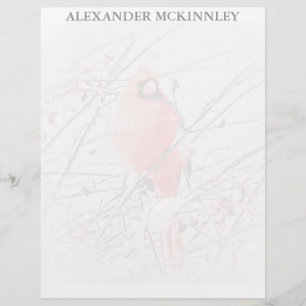 PAPIER CARDINAL HOMME D'HIVER