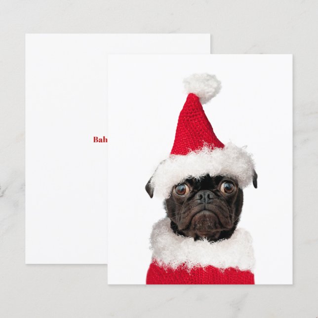 Papier Carlin de Noël mignon Puppy Père Noël (Devant / Derrière)