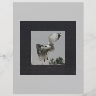 Papier Carré noir sur cadre photo gris