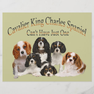 Papier Cavalier Le roi Charles Spaniel ne peut pas avoir