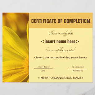 Papier Certificat d'achèvement