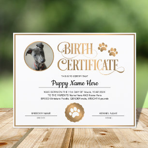 Papier Certificat de naissance de chiot Insérer un Emprei