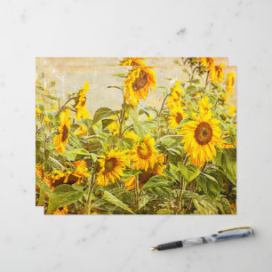 Papier Champ de tournesols découpage jaune vintage antiqu