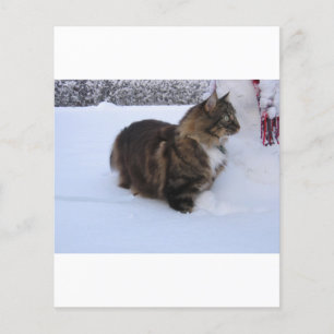 Papier chat des forêts norvégiennes dans la neige