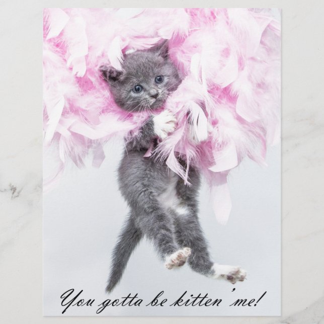 Papier Chat drôle mignon (Devant)