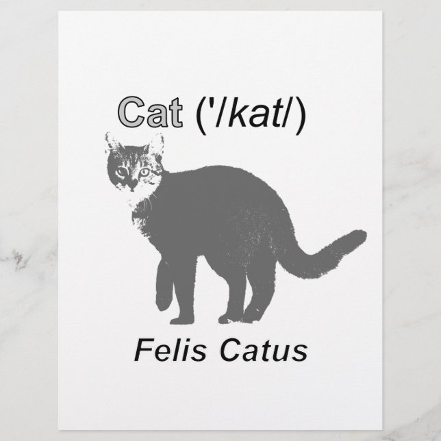 Papier Chat Felis Catus (Devant)