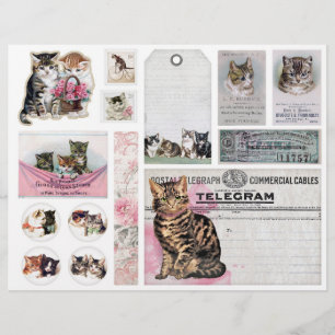 Papier Chats vintage Helena Maguire, Coupes délicates de