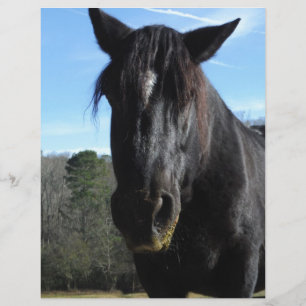 Papier Cheval à bascule noir secouru