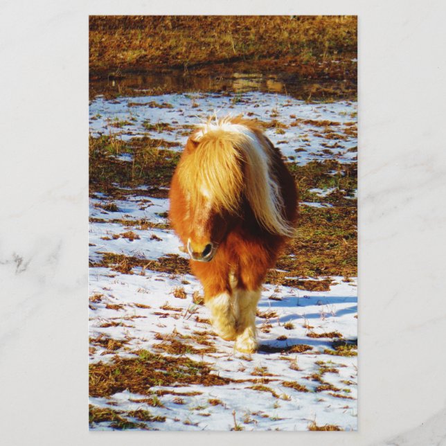 Papier Cheval miniature Brown et crème dans la neige. (Devant)