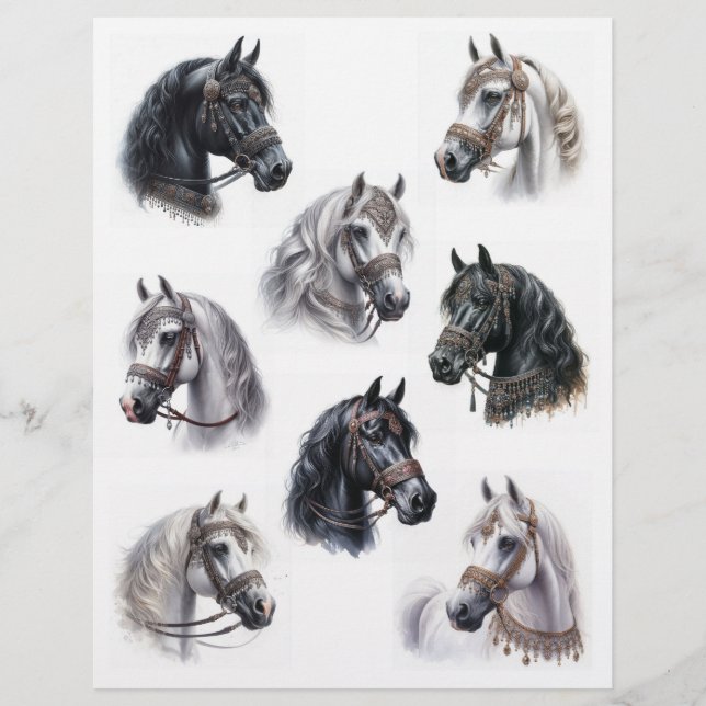 Papier Chevaux d'Arabie avec de belles Bridles (Devant)