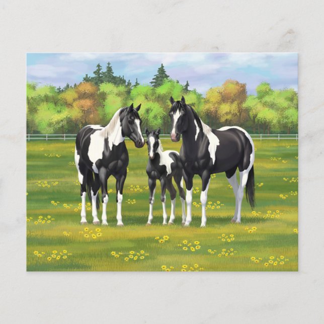 Papier Chevaux De Peinture De Pinto Noir En Pâturage Été (Devant)