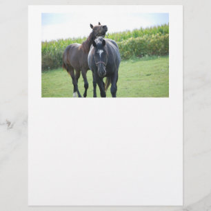 Papier Chevaux en amour