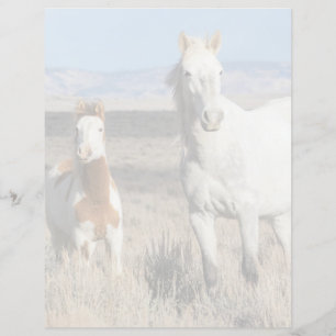 Papier Chevaux sauvages chez eux dans le bassin de Sandwa