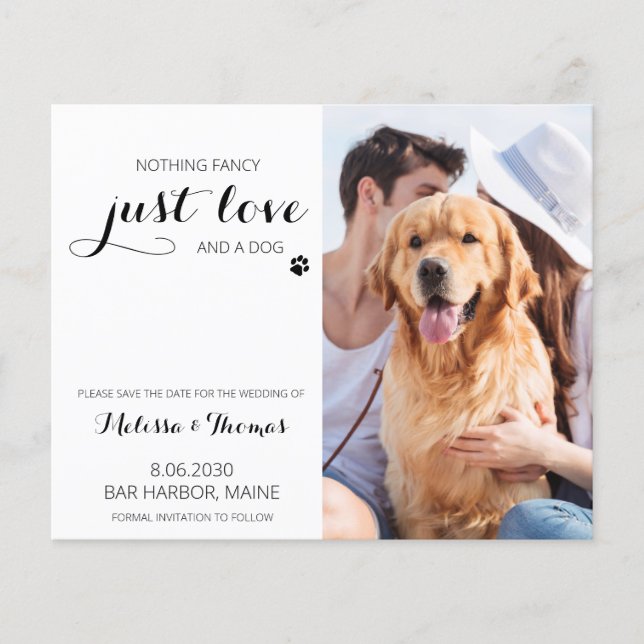 Papier Chien budget Mariage pour animaux de compagnie Enr (Devant)