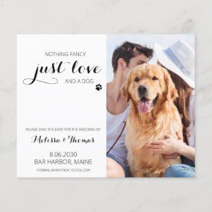 Papier Chien budget Mariage pour animaux de compagnie Enr