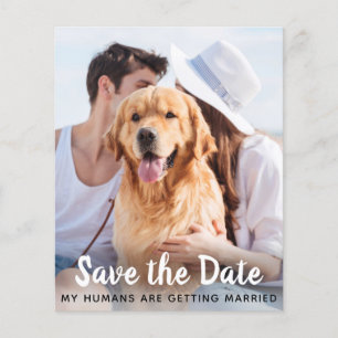 Papier Chien Mariage Animaux de compagnie Photo Enregistr