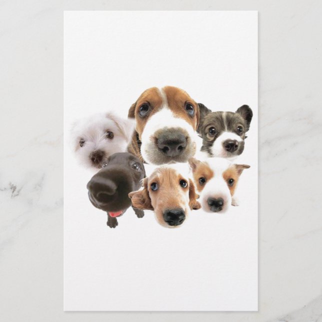 Papier Chiens (Devant)