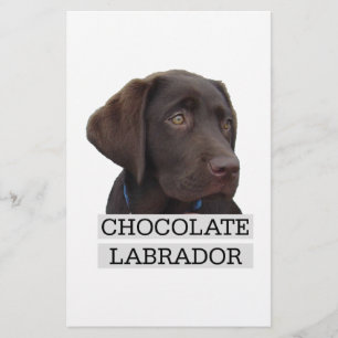 Papier Chocolat Labrador Design unique!