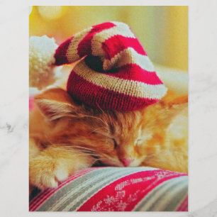 Papier Christmas Kitten