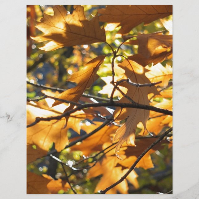 Papier Chute jaune (Devant)