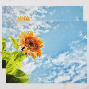 Papier Ciel Bleu Tournesol Et Nuages Découpage Art