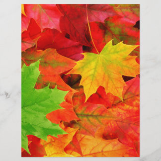 Papier Classic Colored Autumn Fall Leaf Print