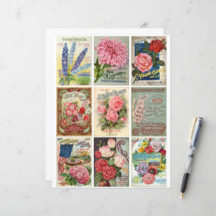 Papier Clipart d'éphémère de graines de fleurs et de jard