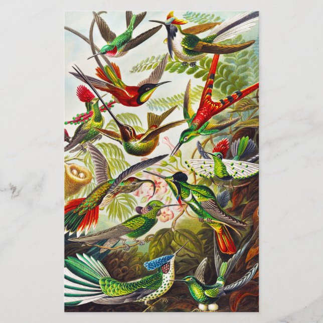 Papier Colibri vintage par Ernst Haeckel (Devant)
