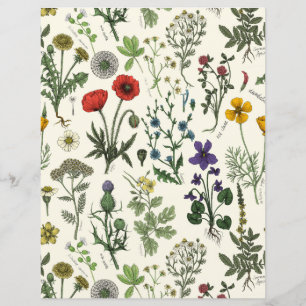 Papier Collage de fleurs sauvages