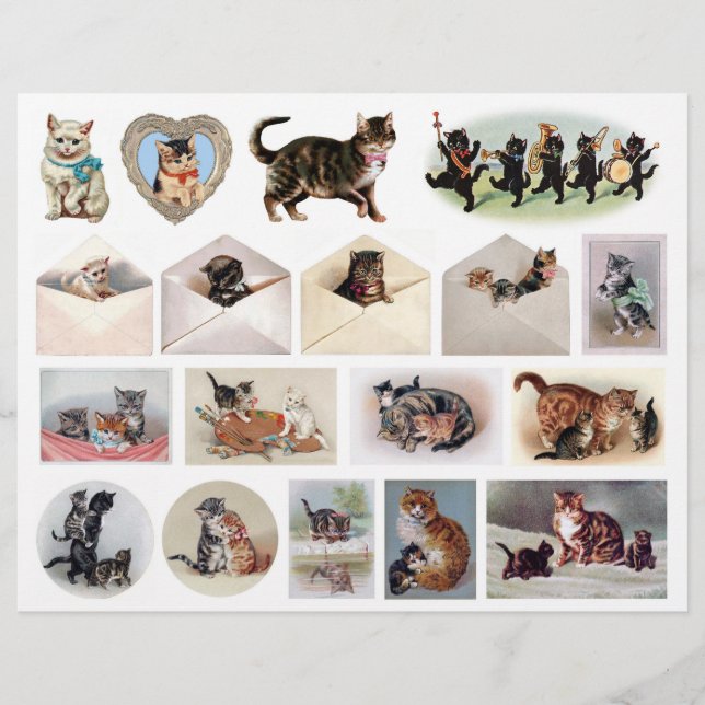 Papier Collection authentique (pas AI) de chats par H. Ma (Devant)