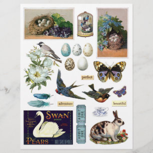 Papier Collection d'Ephémères Vintages : Oiseaux et lapin