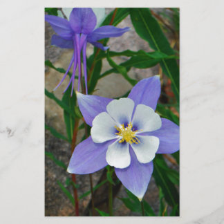 Papier Colonne bleue