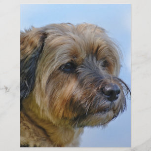 Papier Conception Terrier