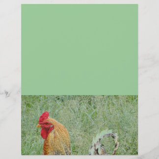 Papier Coqs ferme animale poulet coloré