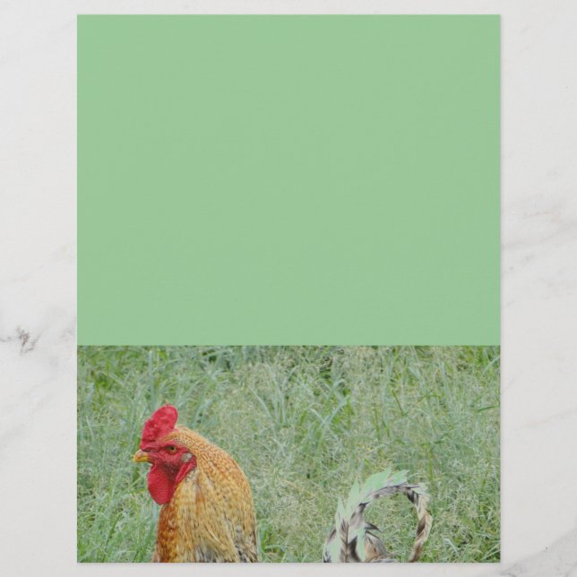 Papier Coqs ferme animale poulet coloré (Devant)