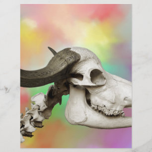 Papier Crâne de Bison sur fond aquarelle