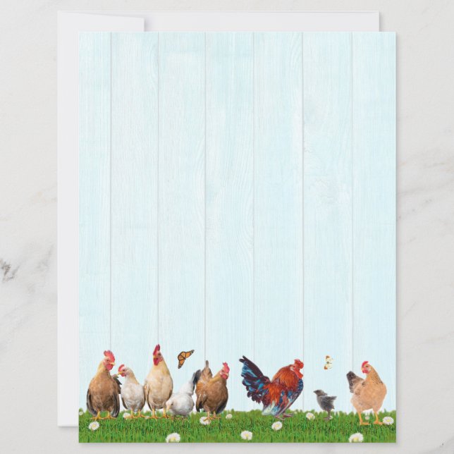 Papier Cute Chicken Stationery - Added Cat on Back (Devant)